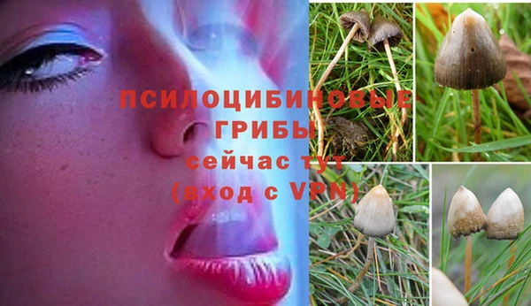кокаин колумбия Заволжск