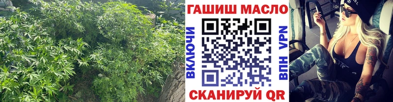 ТГК вейп  Купить где  Орлов 